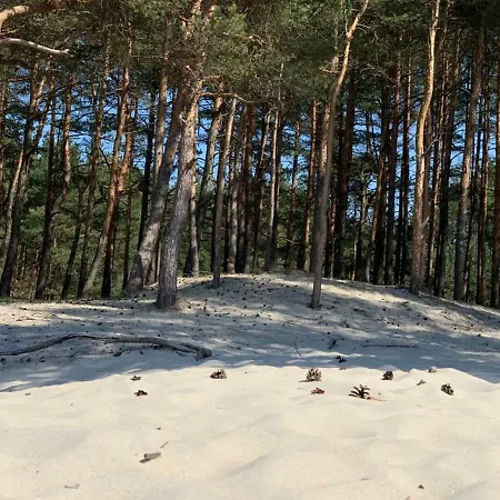 Apartment Vaivorykstes Namai Palanga